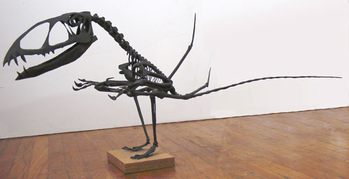 Dimorphodon model by David Peters