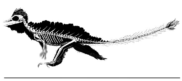 Figure 1. Cosesaurus flapping - fast. There should be a difference in the two speeds. If not, apologies. Also, there should be some bounce in the tail and neck, but that would involve more effort and physics.