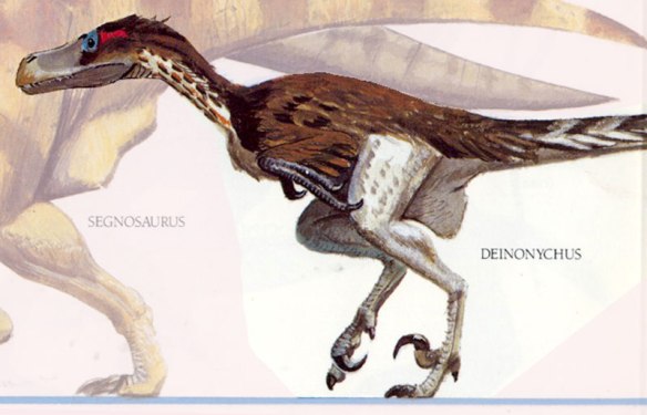 Figure 2. Feathered Deinonychus from A Gallery of Dinosaurs by David Peters. 
