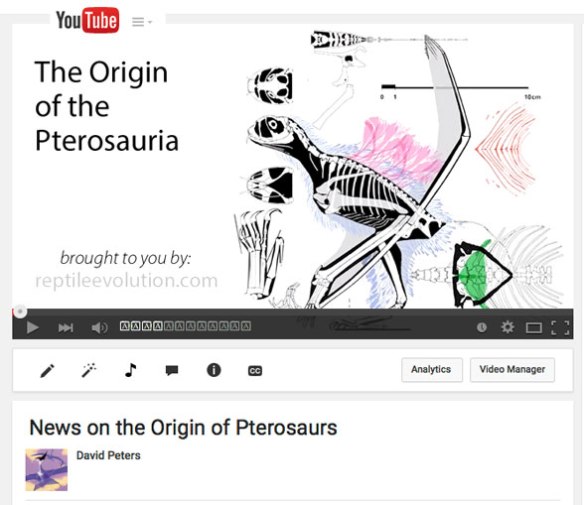 Click to view this "Origin of Pterosaurs" video on YouTube.