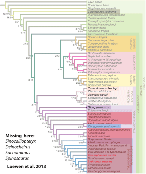 Figure 5. Theropods from Loewen et al. with pertinent taxa highlighted. 